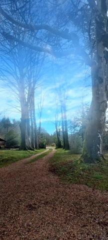 Vente Propriété 19 pièces 479 m2 à Pont-de-Larn