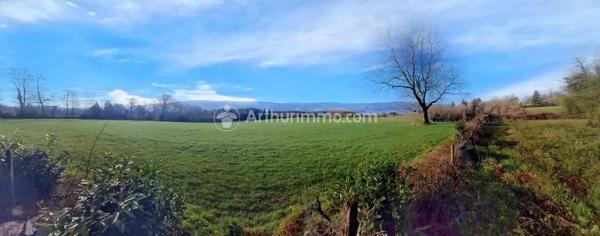 Vente Propriété 19 pièces 479 m2 à Pont-de-Larn