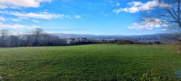 Vente Propriété 19 pièces 479 m2 à Pont-de-Larn