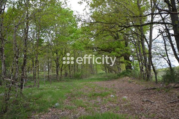 Maison 4 pièces - 159 m² Exclusivité efficity