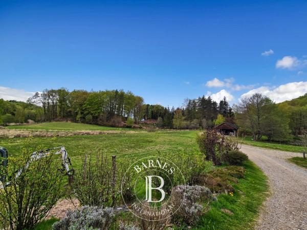 Champs-sur-Tarentaine-Marchal, Gîte  631 m² à vendre