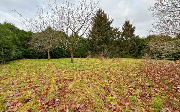 Terrain à vendre    Tosny