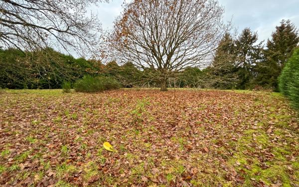 Terrain à vendre    Tosny