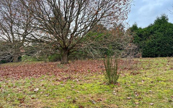 Terrain à vendre    Tosny