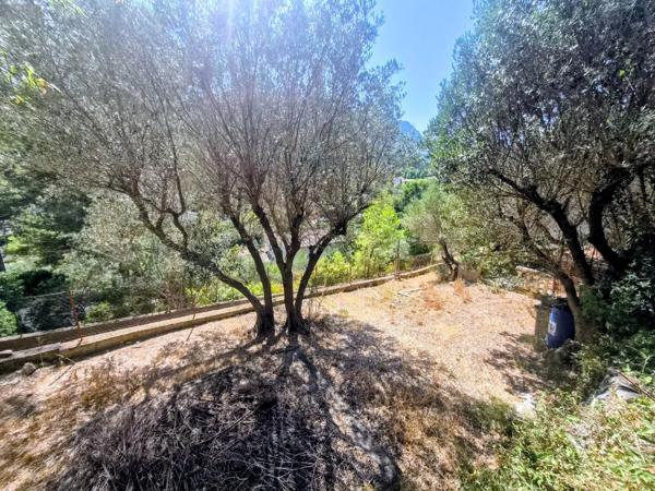 Achat - Maison La Valette-du-Var 83160 9 pièces 220 m 2 3100 m 2