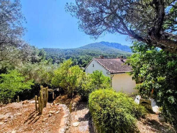 Achat - Maison La Valette-du-Var 83160 9 pièces 220 m 2 3100 m 2