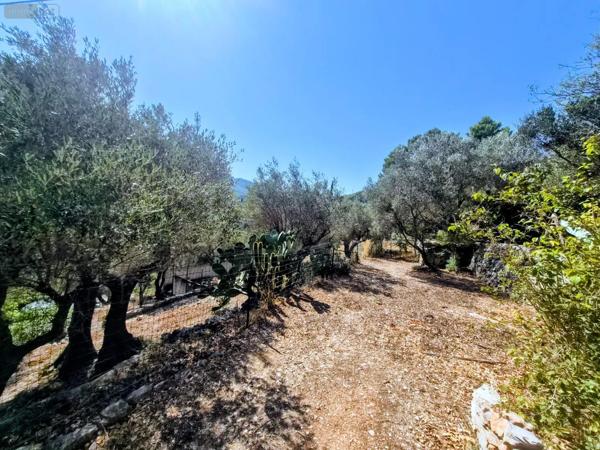 Achat - Maison La Valette-du-Var 83160 9 pièces 220 m 2 3100 m 2