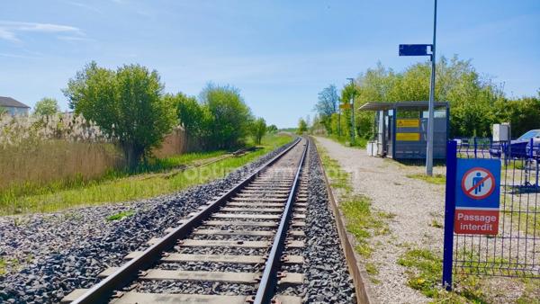 SURBOURG – Terrain constructible de 507 m² en seconde ligne, proche gare