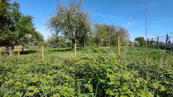 SURBOURG – Terrain constructible de 507 m² en seconde ligne, proche gare