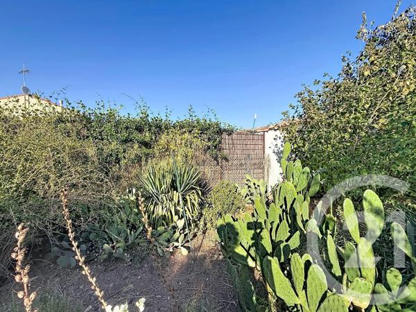 Maison à vendre  4 pièces - 76,84 m 2   AGDE  - 34