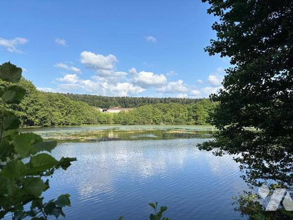 ETANG PLAN d'EAU LE VAL D'AJOL VOSGES 88340
Etang de 2ha 41a 00ca en eau.
Travaux de mise en ...