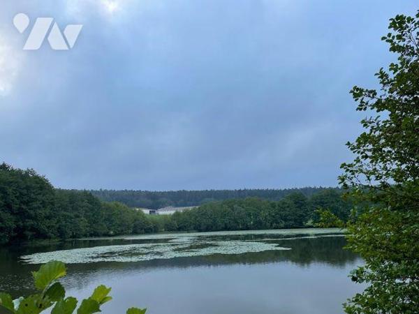 ETANG PLAN d'EAU LE VAL D'AJOL VOSGES 88340
Etang de 2ha 41a 00ca en eau.
Travaux de mise en ...