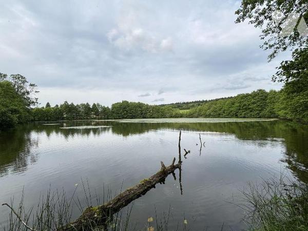 ETANG PLAN d'EAU LE VAL D'AJOL VOSGES 88340
Etang de 2ha 41a 00ca en eau.
Travaux de mise en ...