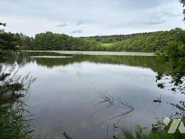 ETANG PLAN d'EAU LE VAL D'AJOL VOSGES 88340
Etang de 2ha 41a 00ca en eau.
Travaux de mise en ...