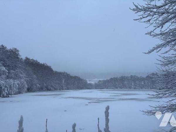 ETANG PLAN d'EAU LE VAL D'AJOL VOSGES 88340
Etang de 2ha 41a 00ca en eau.
Travaux de mise en ...