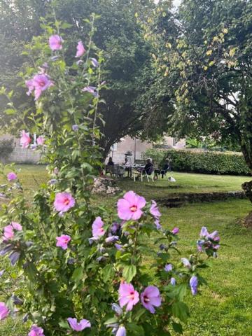 Charmante propriété de caractère à Pays-de-Clerval