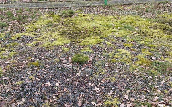 Maison à vendre    3 pièces •  Salbris