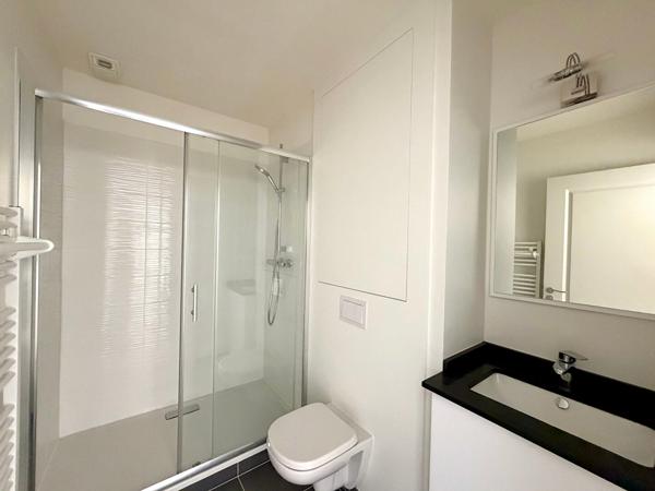 Appartement Albi 1 pièce