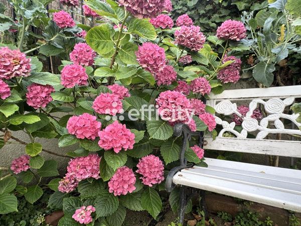 Maison 3 pièces - 53 m² Exclusivité efficity