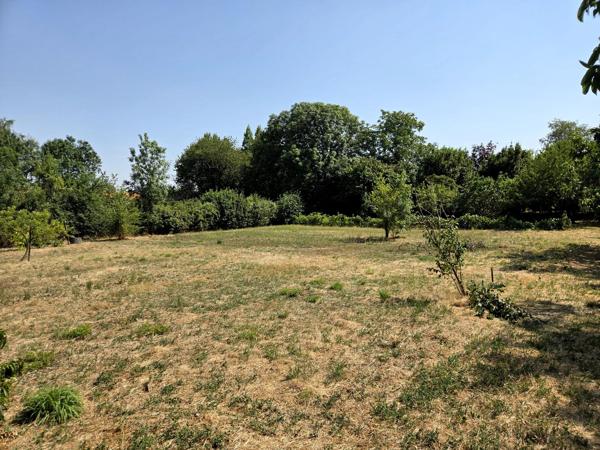Terrain constructible plat, avec verger!