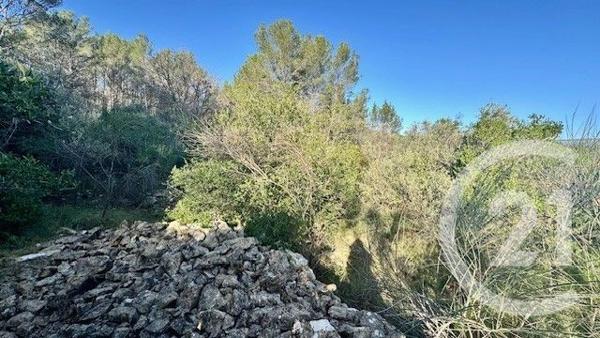 Terrain à vendre  1225 m2 SOLLIES TOUCAS - 83