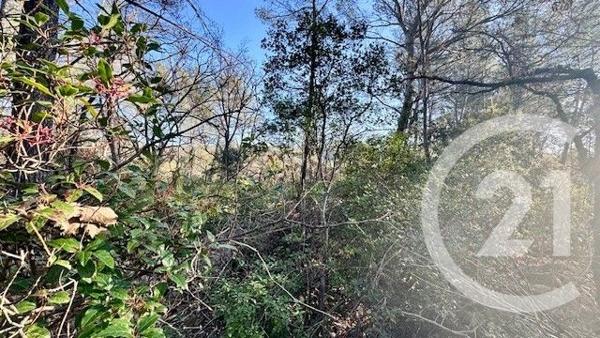 Terrain à vendre  1225 m2 SOLLIES TOUCAS - 83