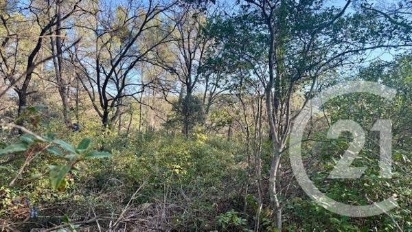 Terrain à vendre  1225 m2 SOLLIES TOUCAS - 83