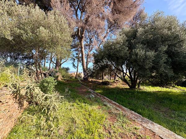 terrain de 2500 m² +maison en zone UPB (20%)