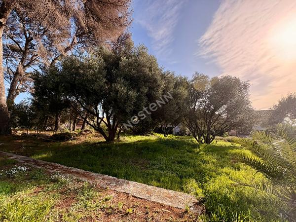 terrain de 2500 m² +maison en zone UPB (20%)