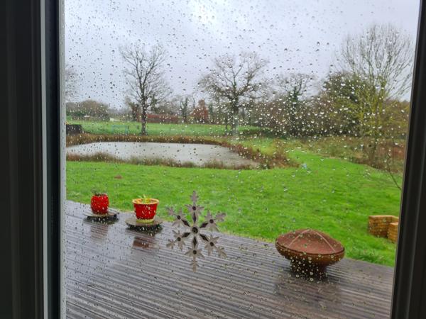 Plaintel (22940) maison de plain pied sur 3000m2 de terrain, 4 chambres, belle prestation