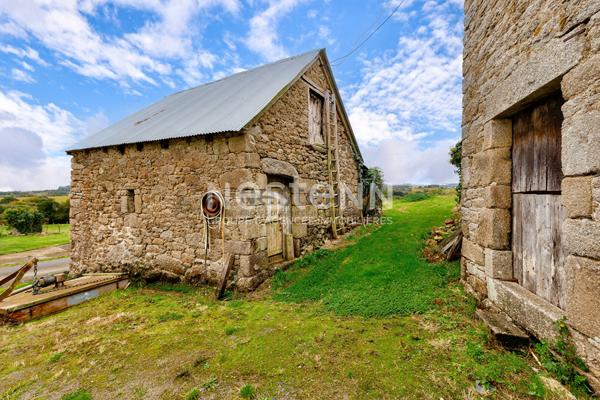 Vente d'une bâtisse en pierres avec dépendances 25000 m² de terrain en campagne du Gouray
