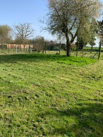Dpt Calvados (14), à vendre Creully-sur-Seulles Terrain constructible de 1 162,00 m²