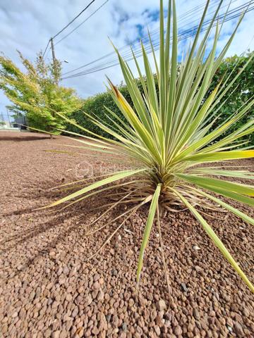 Maison contemporaine de 176 m²