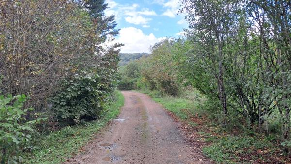 Maison à vendre 11 pièces proche Martel (46)