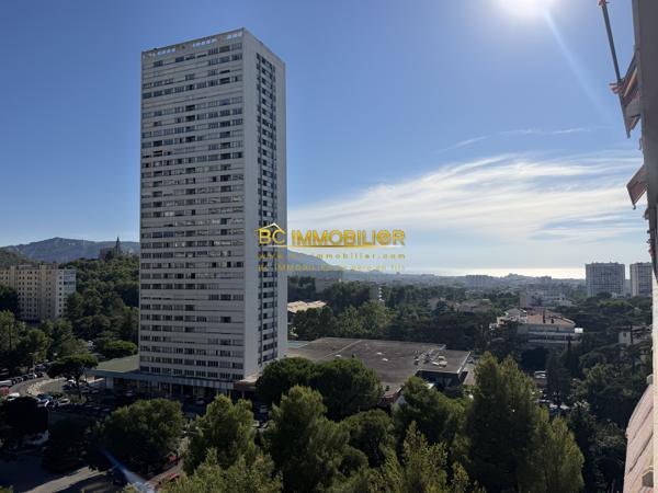 Magnifique Type 4/5 entièrement refait à la rouvière