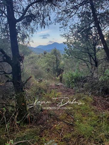 LEVENS - Terrain de loisirs 9505m²