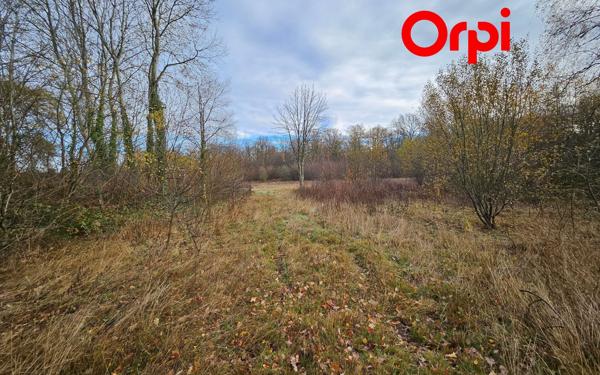 Terrain à vendre    Bernay