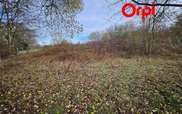 Terrain à vendre    Bernay