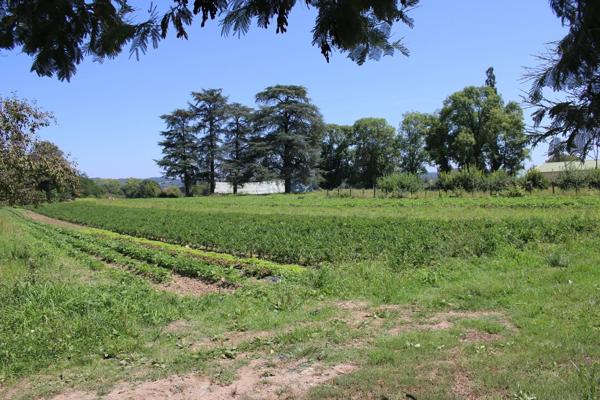 Vaste domaine avec Château et maison de maître