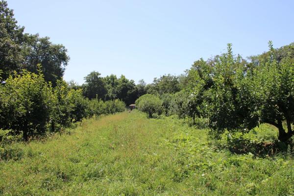 Vaste domaine avec Château et maison de maître
