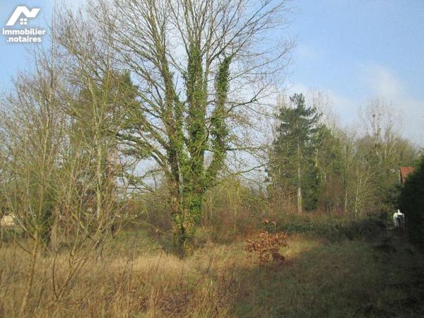 A vendre à Chabris, Indre (36),  beau terrain avec une façade de 30 mètres environ, d'une surfa...