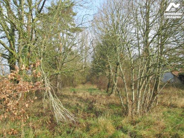 A vendre à Chabris, Indre (36),  beau terrain avec une façade de 30 mètres environ, d'une surfa...