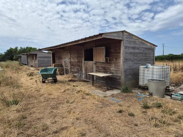 LOUVIGNE près de LAVAL terrain de loisir pour chevaux d'environ 1 hectare avec 6 boxes - carrière, fumière