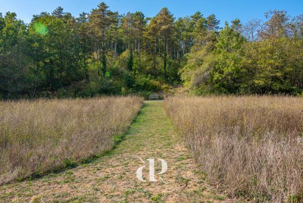 Beaumont-de-Lomagne (82500) Charmante propriété de deux maisons alliant caractère et confort