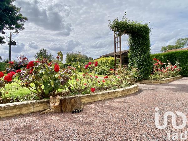 Maison à vendre 6 pièces 145 m² La Châtaigneraie