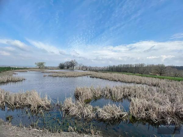 Vente Local commercial à Noailly