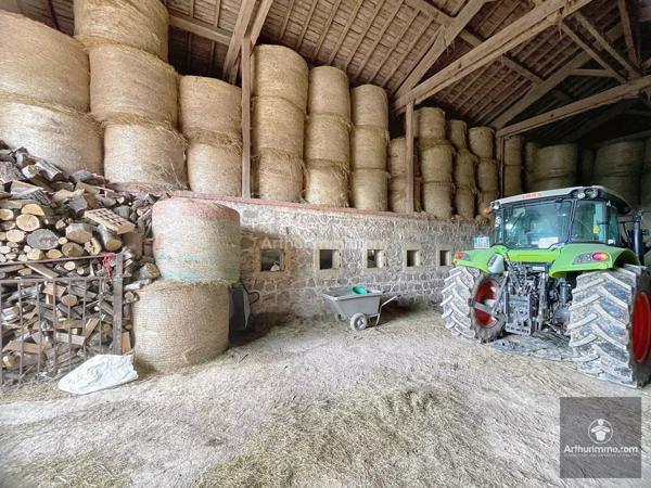 Vente Local commercial à Noailly