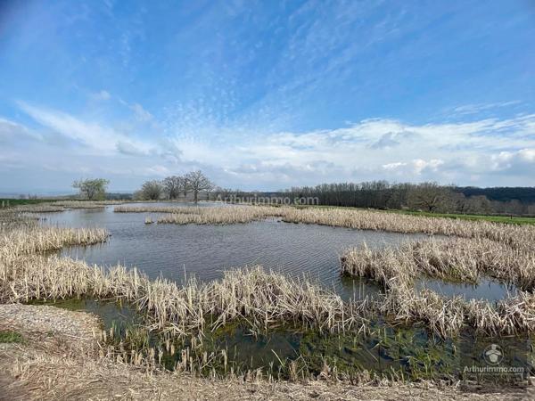 Vente Local commercial à Noailly