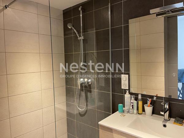 Joli duplex meublé de 43 m² dans le centre Yssingeaux