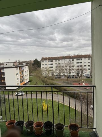 Appartement T3 67200 Strasbourg 71 m2